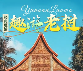 【趣游老撾 · 經典版納】—昆明、普洱、西雙版納、磨丁、瑯勃拉邦四動8日游